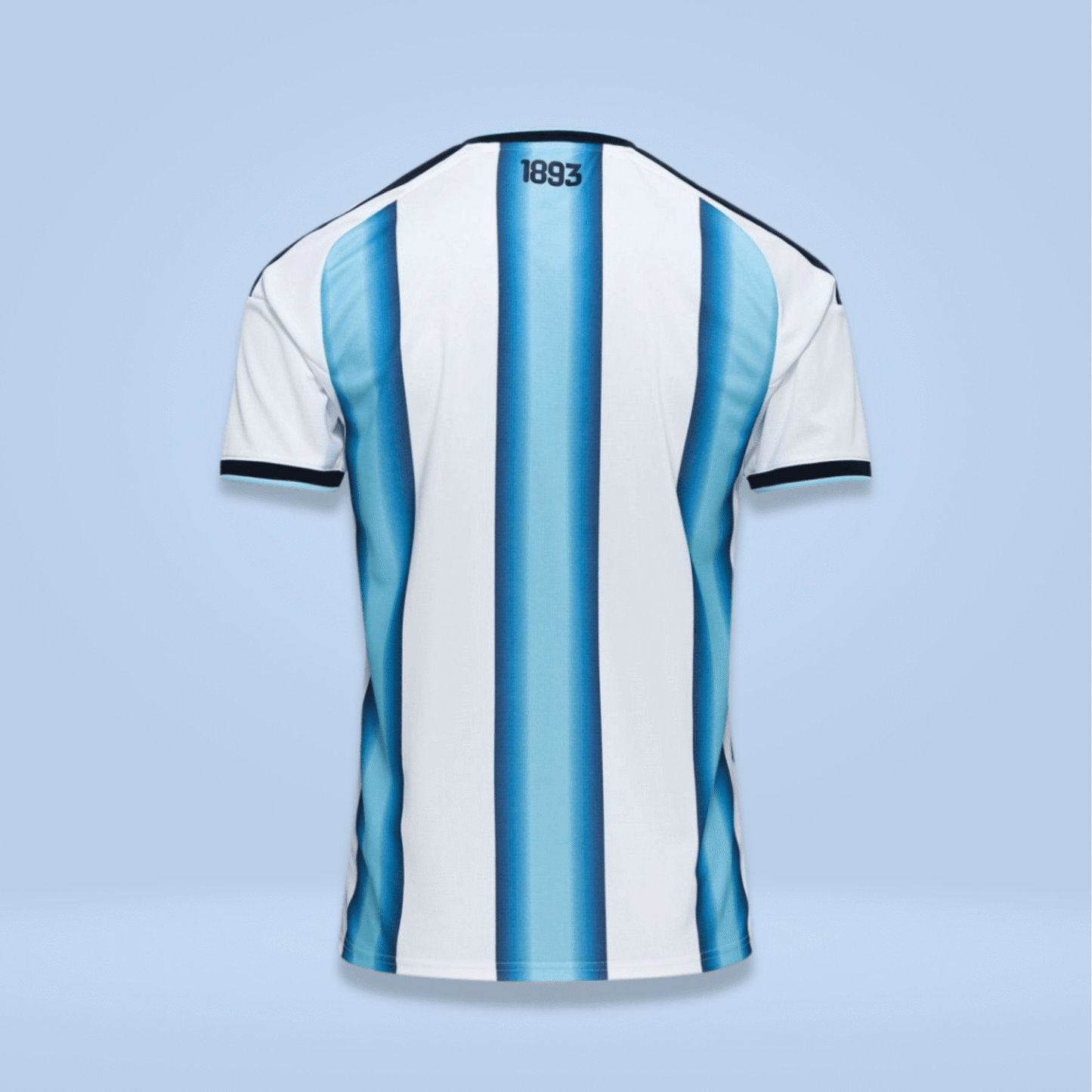 Argentina World Cup Home Kit - Fan Edition