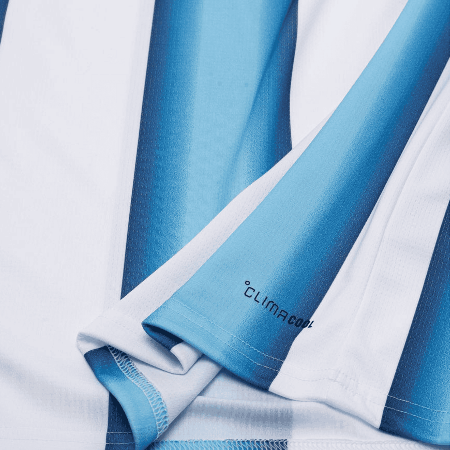 Argentina World Cup Home Kit - Fan Edition